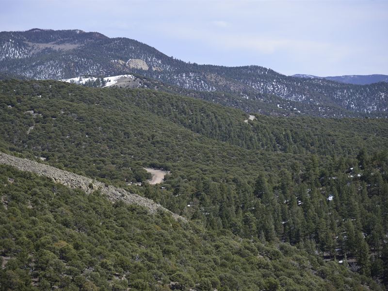 Create The Lifestyle You Want Here : Fort Garland : Costilla County : Colorado