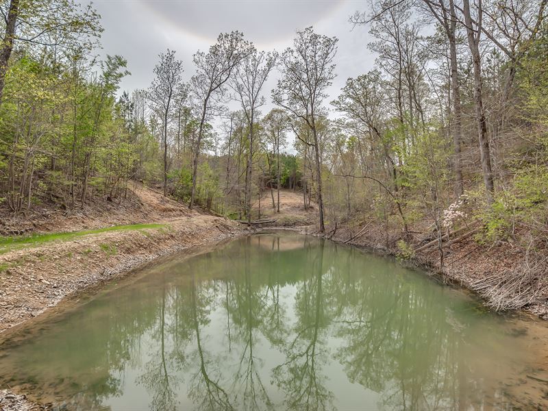 Private 48 Acres : Hampshire : Lewis County : Tennessee