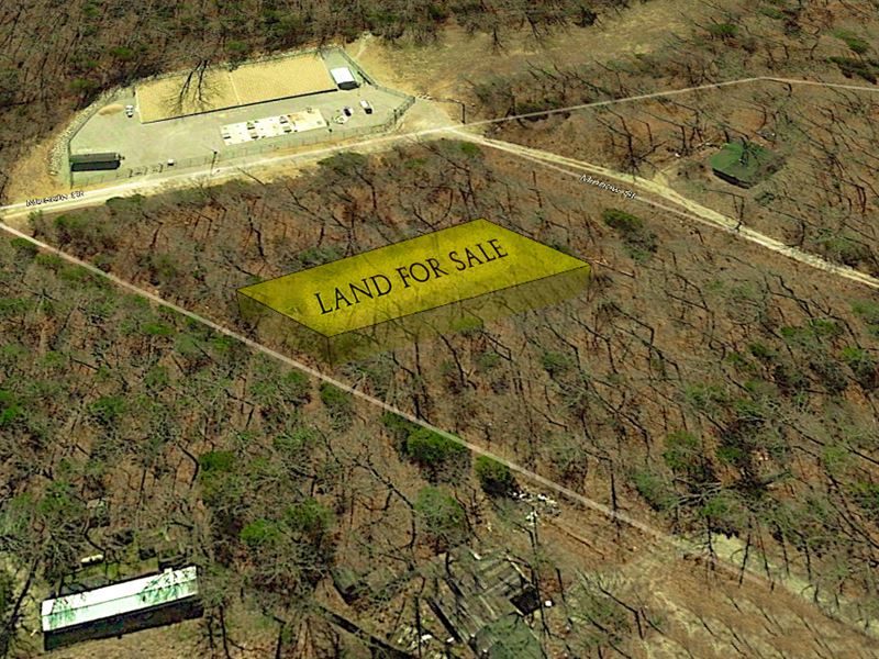 Amazing Lot : Kissee Mills : Taney County : Missouri