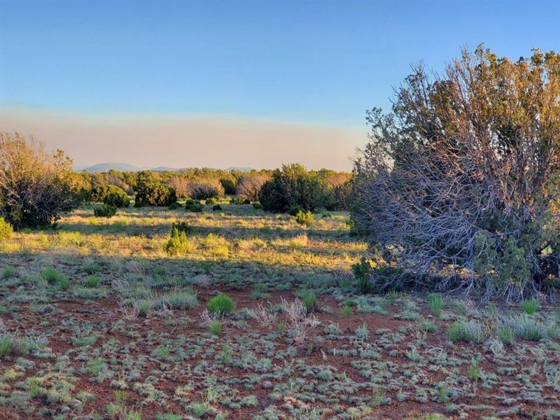 5 Acre Off-Grid Desert Paradise : Saint Johns : Apache County : Arizona