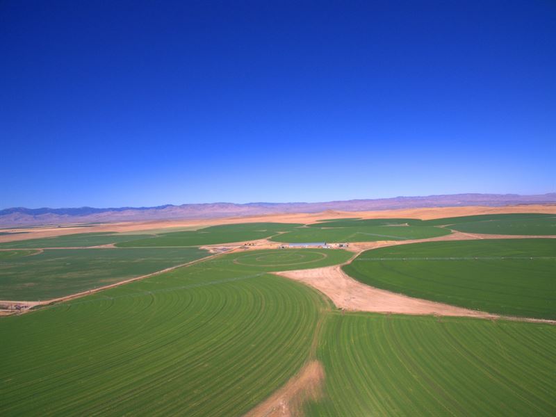 Murphy Flat Farm : Murphy : Owyhee County : Idaho