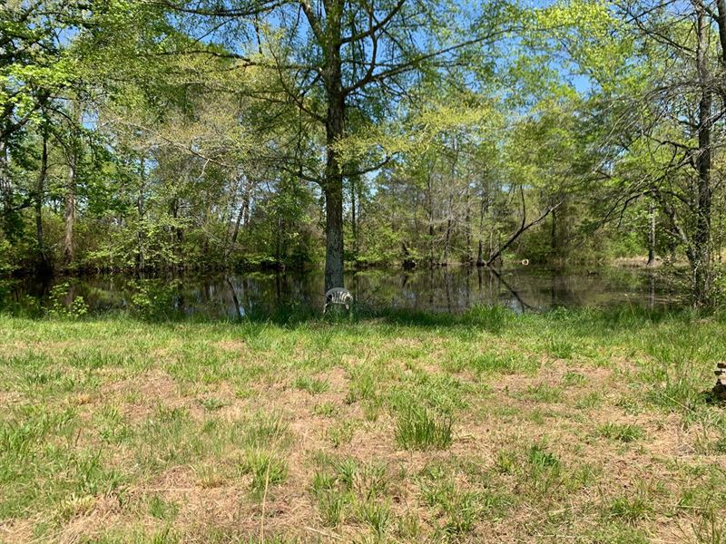 2.10 Acres Close to Town : Mena : Polk County : Arkansas