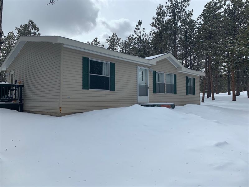 Well-Kept Manufactured Home : Westcliffe : Custer County : Colorado