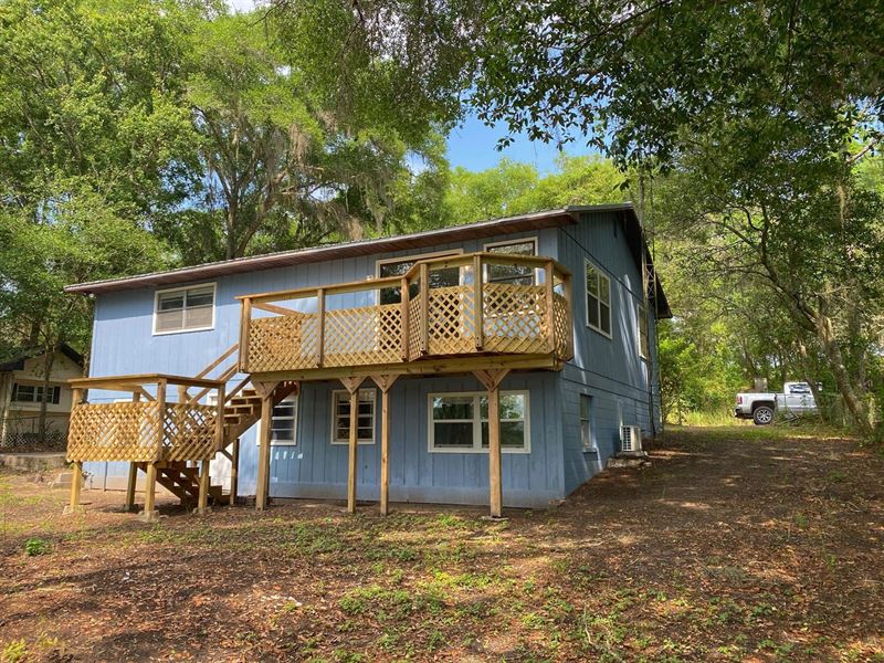 Quiet Country Living Trenton : Trenton : Gilchrist County : Florida