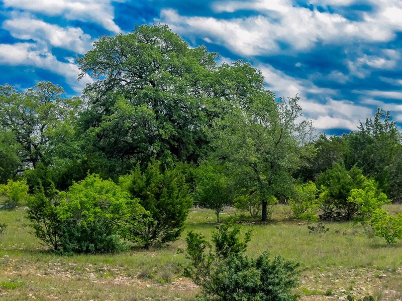 Picturesque 2.1 Acres Exclusive : Bandera : Bandera County : Texas