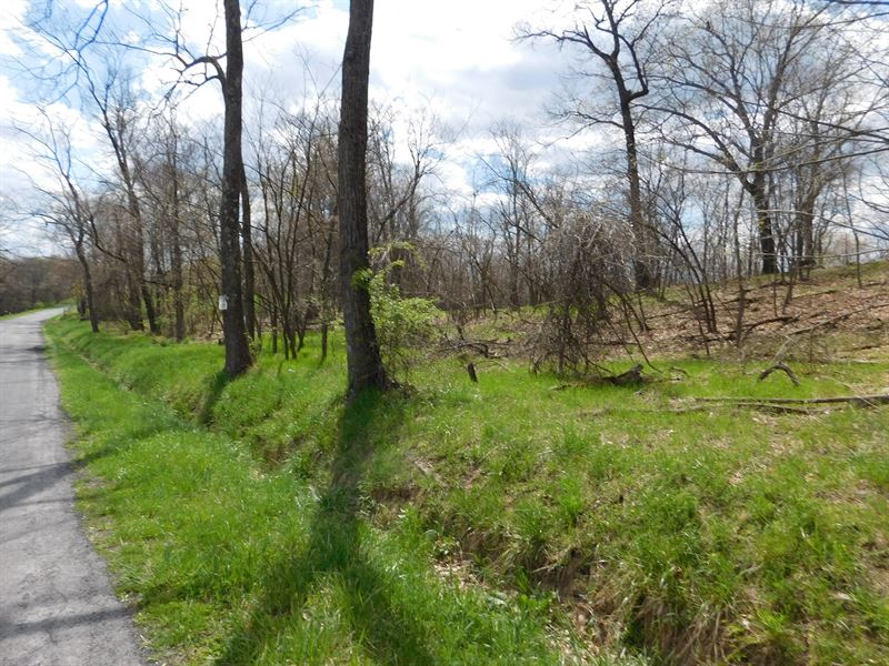 WV Mountain Top Building Site : Keyser : Mineral County : West Virginia