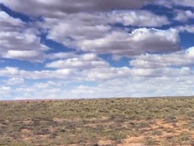 Own 1+ Acres in Apache County AZ : Adamana : Apache County : Arizona