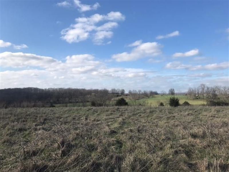 Building Lot in Quiet Neighborhood : Mountain Grove : Texas County : Missouri