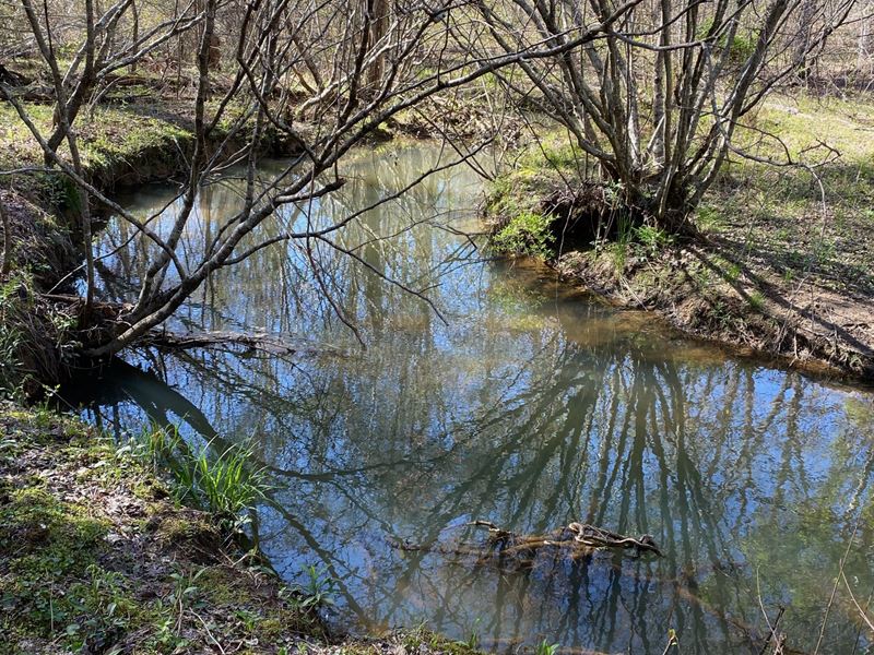 7.65 Acres, Stream, Lake Access : Pikeville : Bledsoe County : Tennessee