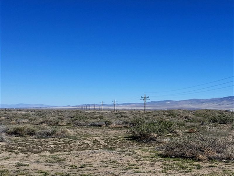 Ranch / Homesite, Power At Land : Winnemucca : Humboldt County : Nevada