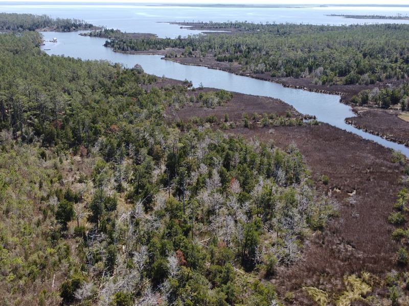 Recreational Acreage for Sale in NC : Bayboro : Pamlico County : North Carolina