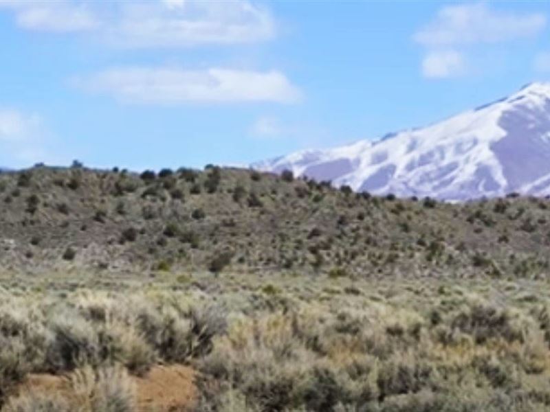A Perfect Lot to Camp in NM : Tres Piedras : Taos County : New Mexico