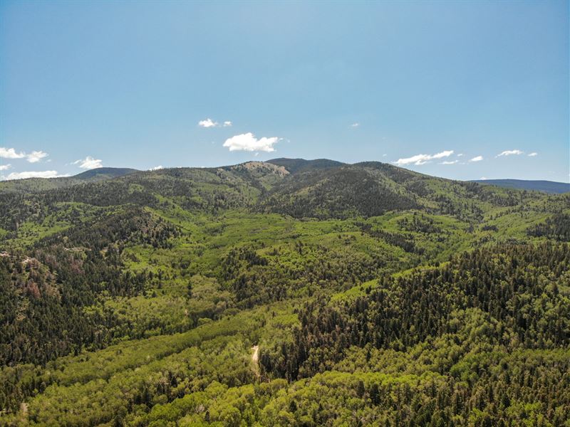 You Need Camping and Hiking : Fort Garland : Costilla County : Colorado