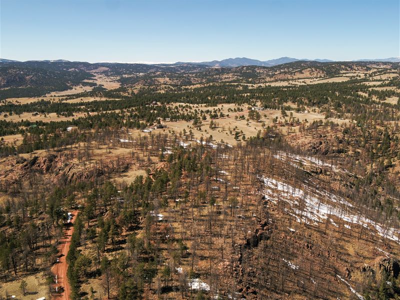 Ideal Colorado Mountain Cabin Lot : Florissant : Teller County : Colorado