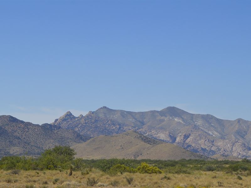 Let's Get Out of Town. Cheap Land : Pearce : Cochise County : Arizona