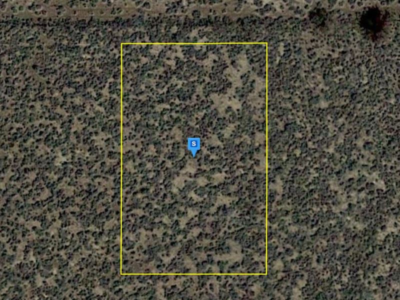 .51 Acre in Cochise County, AZ : Cochise : Cochise County : Arizona