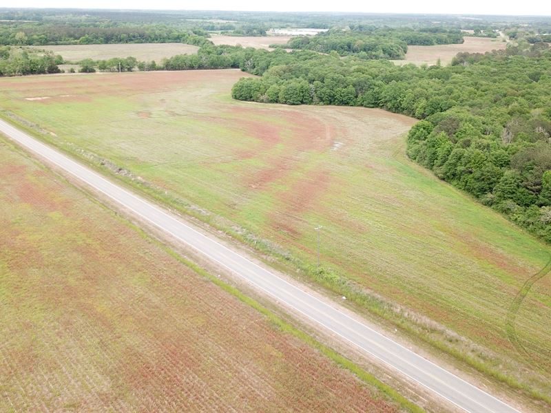 Goodman Home Sites, Parcel C : Goodman : Coffee County : Alabama