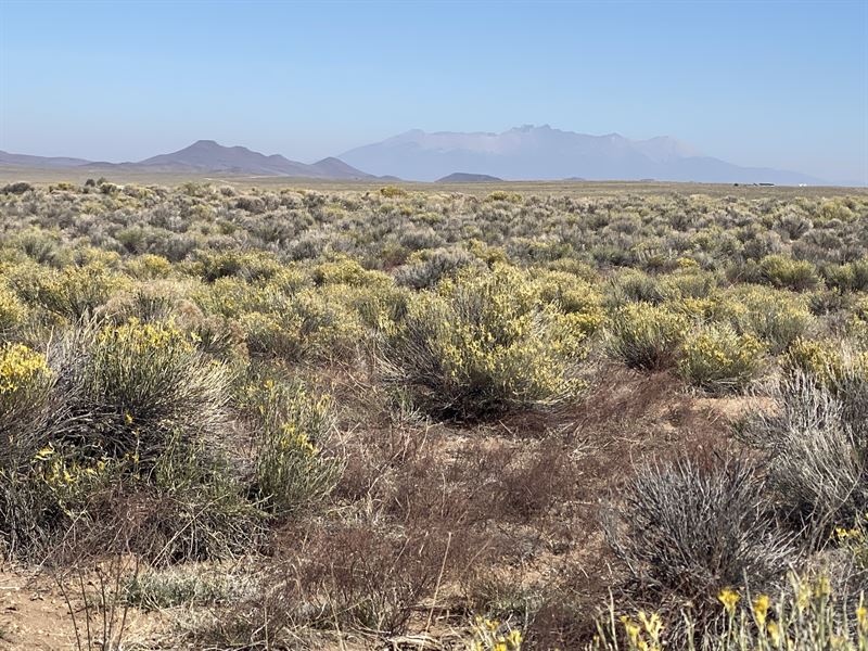 Wide Open Spaces and Affordable : San Luis : Costilla County : Colorado