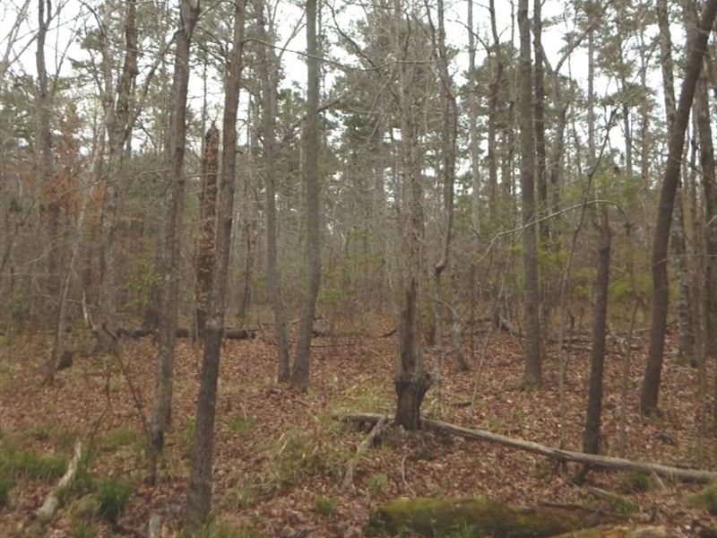 45 Acres in Lauderdale County in Co : Collinsville : Lauderdale County : Mississippi
