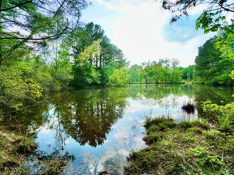 70 Acre Multi-Use Property, Webste : Springhill : Webster Parish : Louisiana