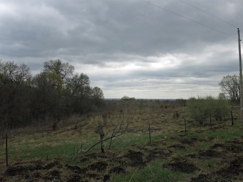 For Sale 185 Acre M/L Hunting Farm : Mount Moriah : Harrison County : Missouri
