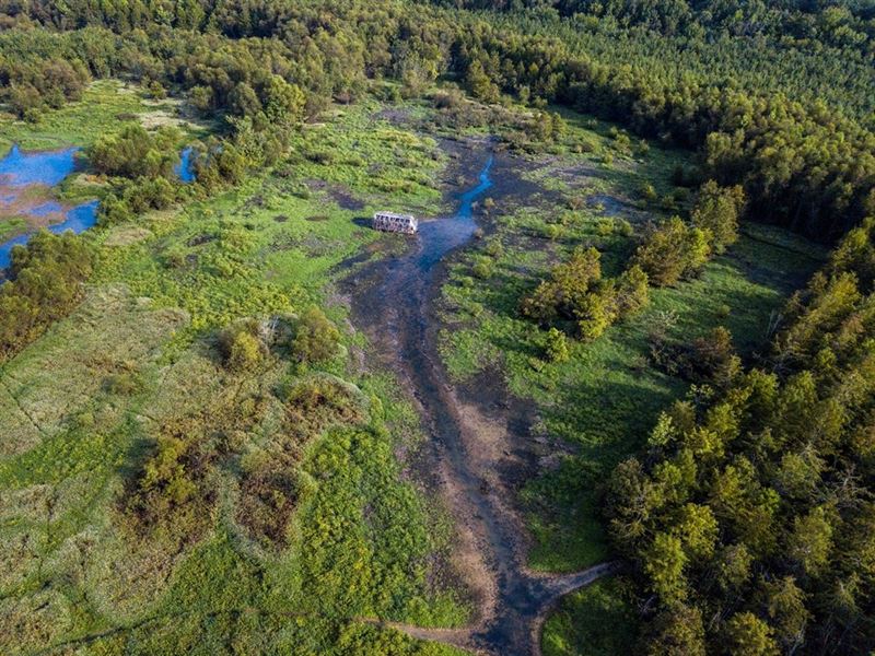 West TN Duck Hunting Hole 4 Sale : Bradford : Gibson County : Tennessee