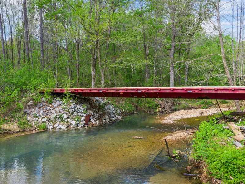 TN Recreational Land, Live Water : Sugar Tree : Decatur County : Tennessee