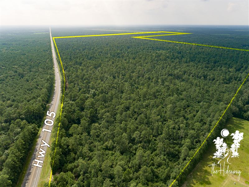 43 Acres The Hideaway T-2 : Cleveland : Liberty County : Texas