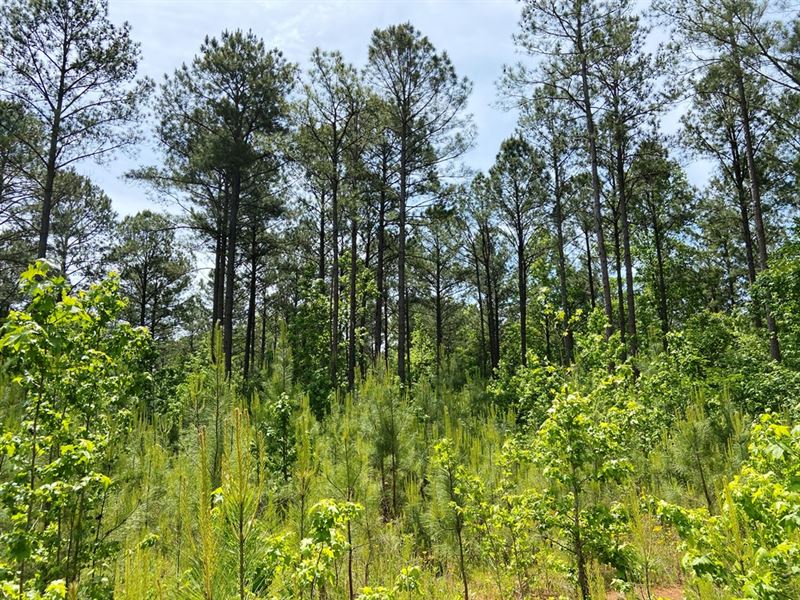 Thaxton Southeast Tract : Franklin : Heard County : Georgia
