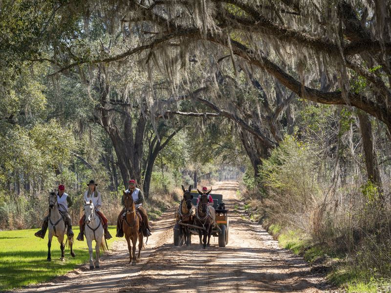 Cane Mill Plantation : Albany : Dougherty County : Georgia