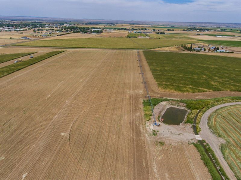 Shepard Pivot : Wheatland : Platte County : Wyoming