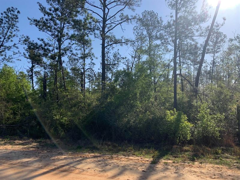 1.14 Acres for Sale in Alford, FL : Alford : Jackson County : Florida