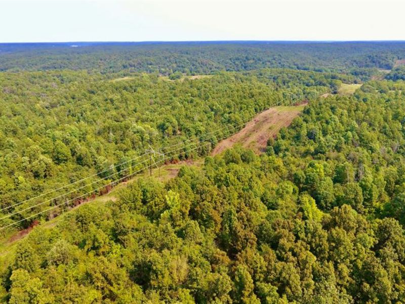 160 Acres McDonald County, MO : Anderson : McDonald County : Missouri