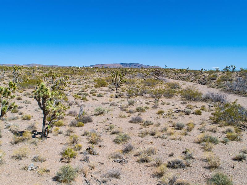 1 Acre Perfect for Future Home : White Hills : Mohave County : Arizona
