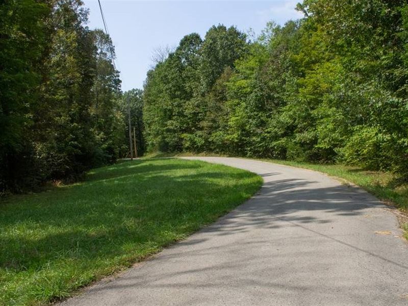 6.23 Acre in Wayne County, KY : Monticello : Wayne County : Kentucky