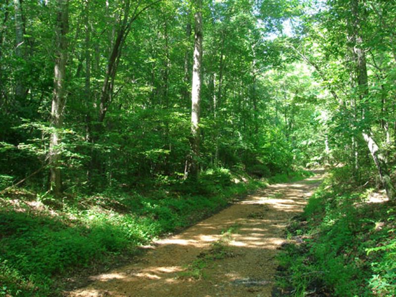 6.48 Acre in Wayne County, TN : Waynesboro : Wayne County : Tennessee
