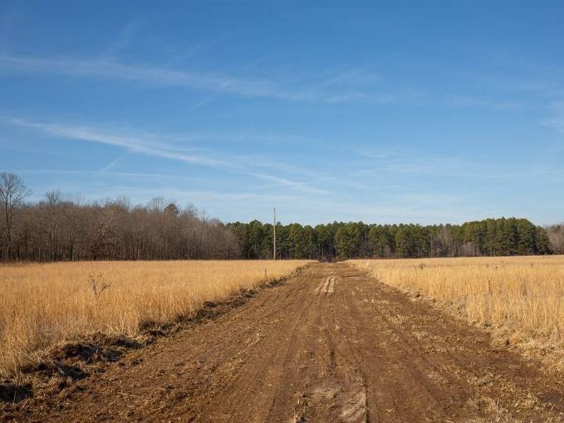 6.34 Acre in Shannon County, MO : Winona : Shannon County : Missouri