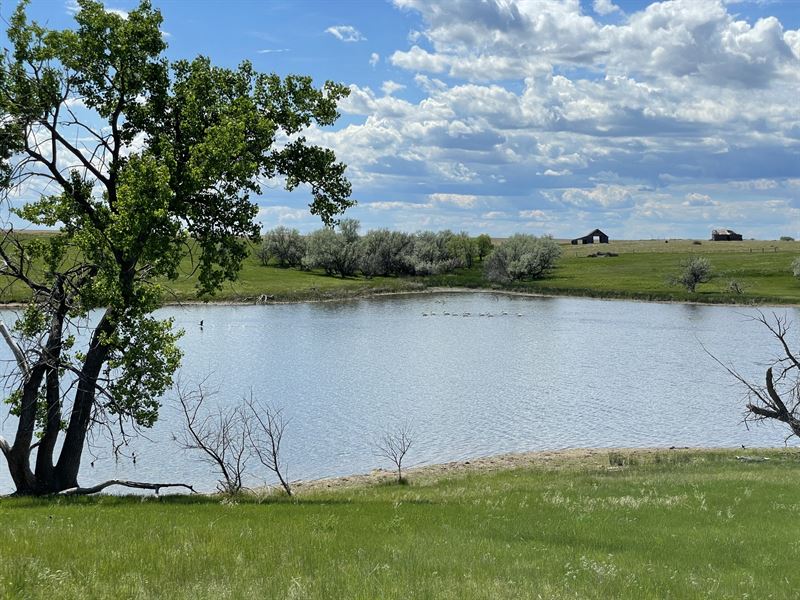 Milesville Flats : Milesville : Haakon County : South Dakota