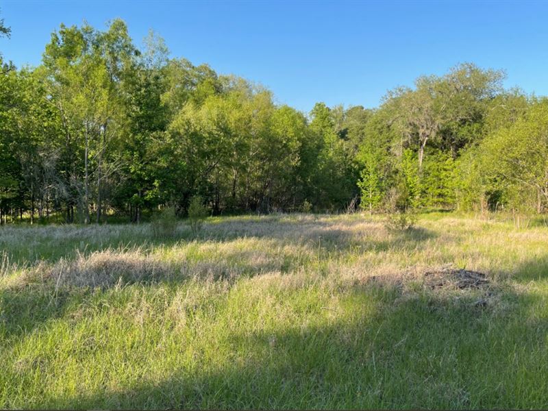 Acreage Well, Septic, 0 : Live Oak : Suwannee County : Florida