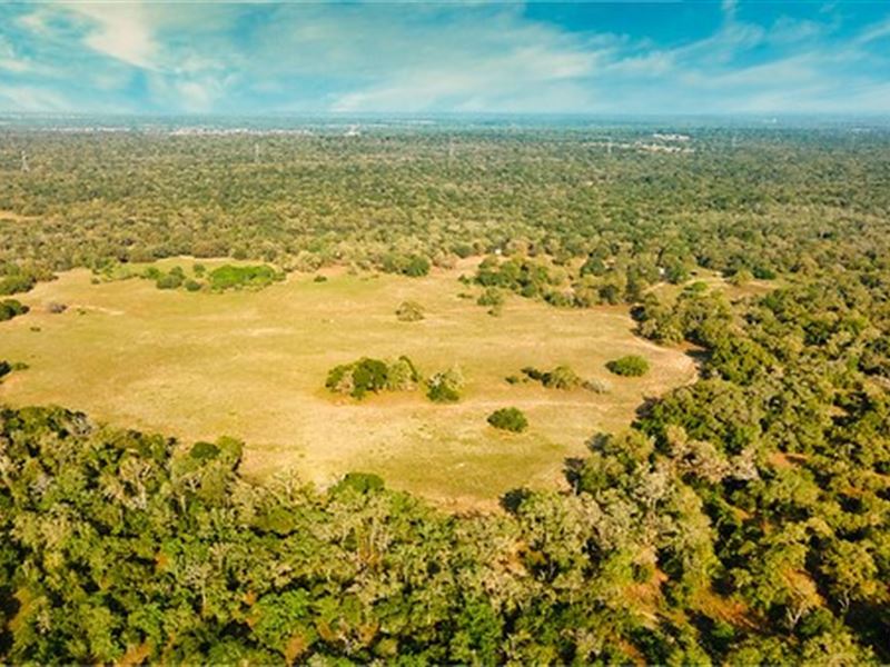 Gorgeous 100 Acre Tract Guadalupe : Seguin : Guadalupe County : Texas