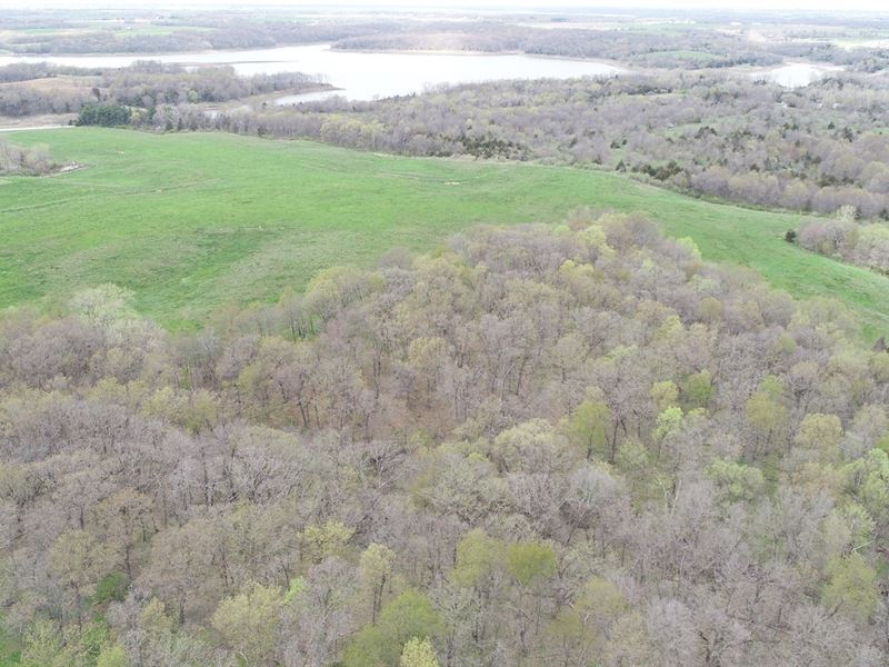 Appanoose County Pasture : Plano : Appanoose County : Iowa