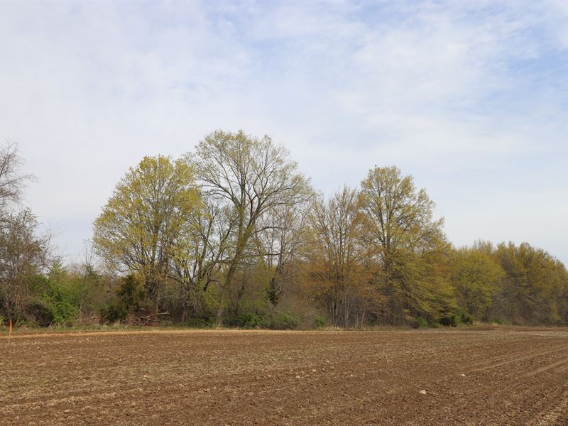 Building Lot, Delaware County : Sunbury : Delaware County : Ohio