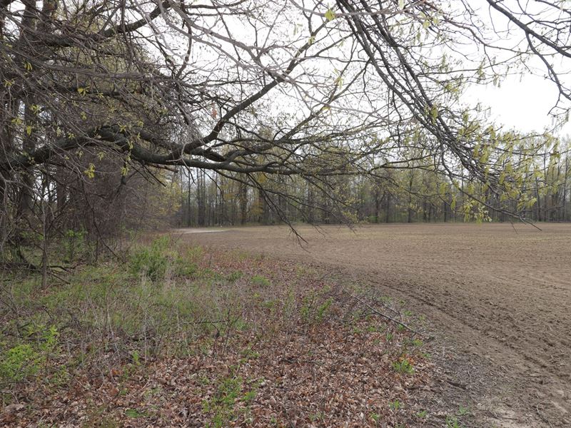 Delaware County, Sunbury, Ohio : Sunbury : Delaware County : Ohio
