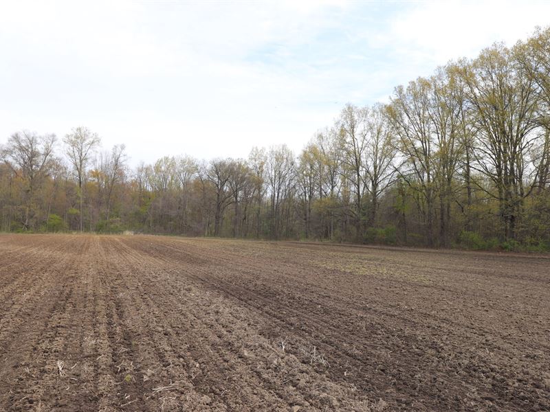 Building Lot, Sunbury Ohio : Sunbury : Delaware County : Ohio