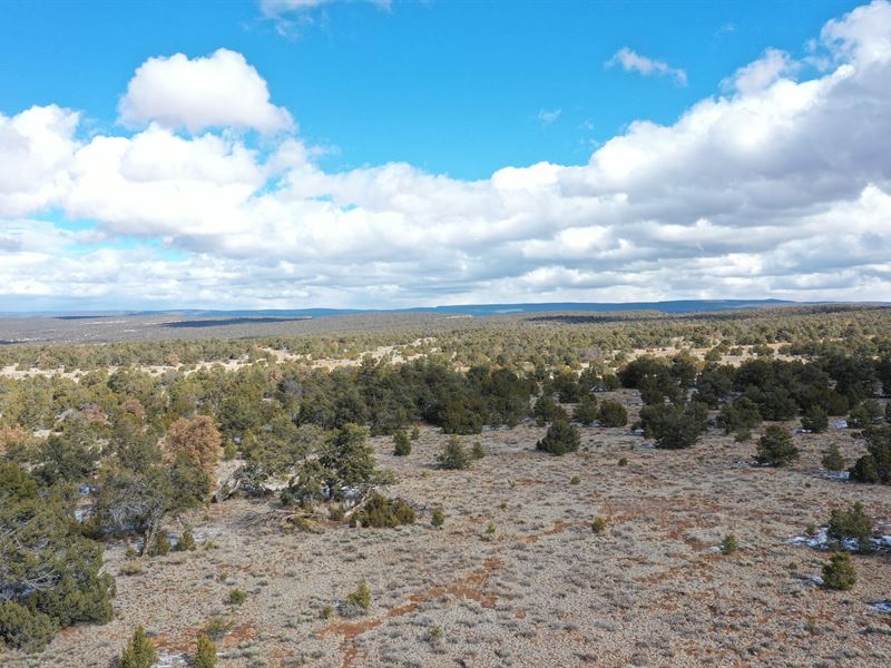 5 Acres Lot with Beautiful Scenery : Ramah : Cibola County : New Mexico