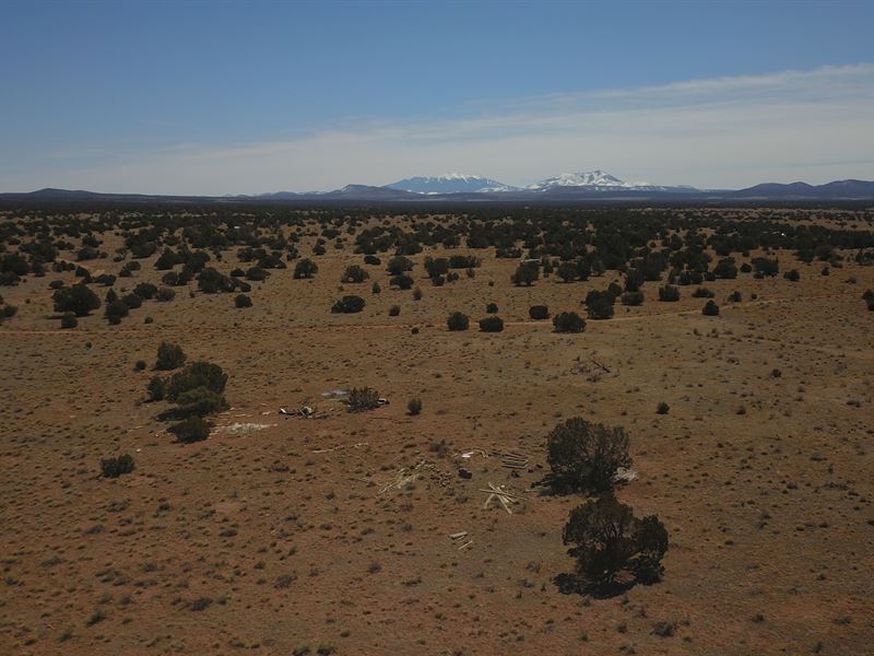 1 Acre Lot with Nice View : Williams : Coconino County : Arizona