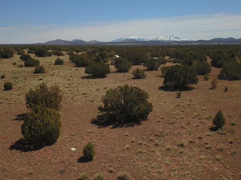 1 Acre Lot with Amazing View : Williams : Coconino County : Arizona