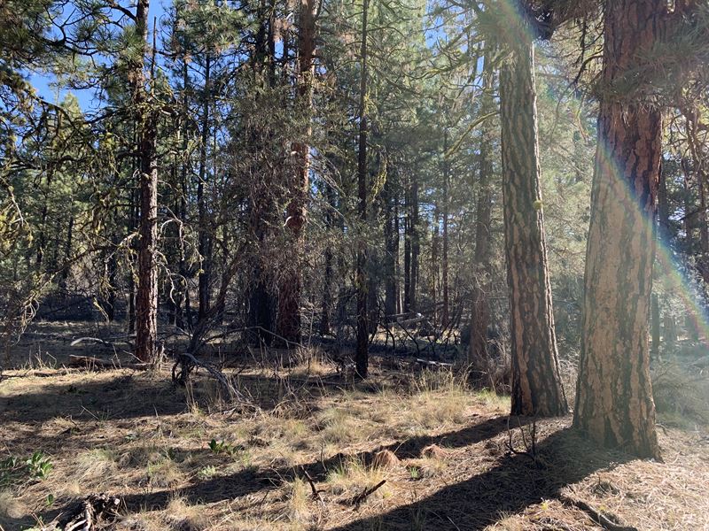 2.29 Prime Acres, Near Power, Phone : Bonanza : Klamath County : Oregon