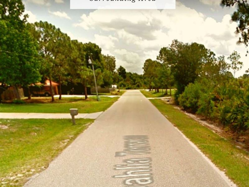 .26 Acre Only $1Dn, $199/Mo : Sebring : Highlands County : Florida