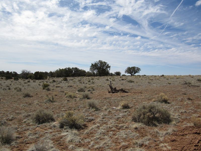 1.27 Acre Near Petrified Forest : Chambers : Apache County : Arizona